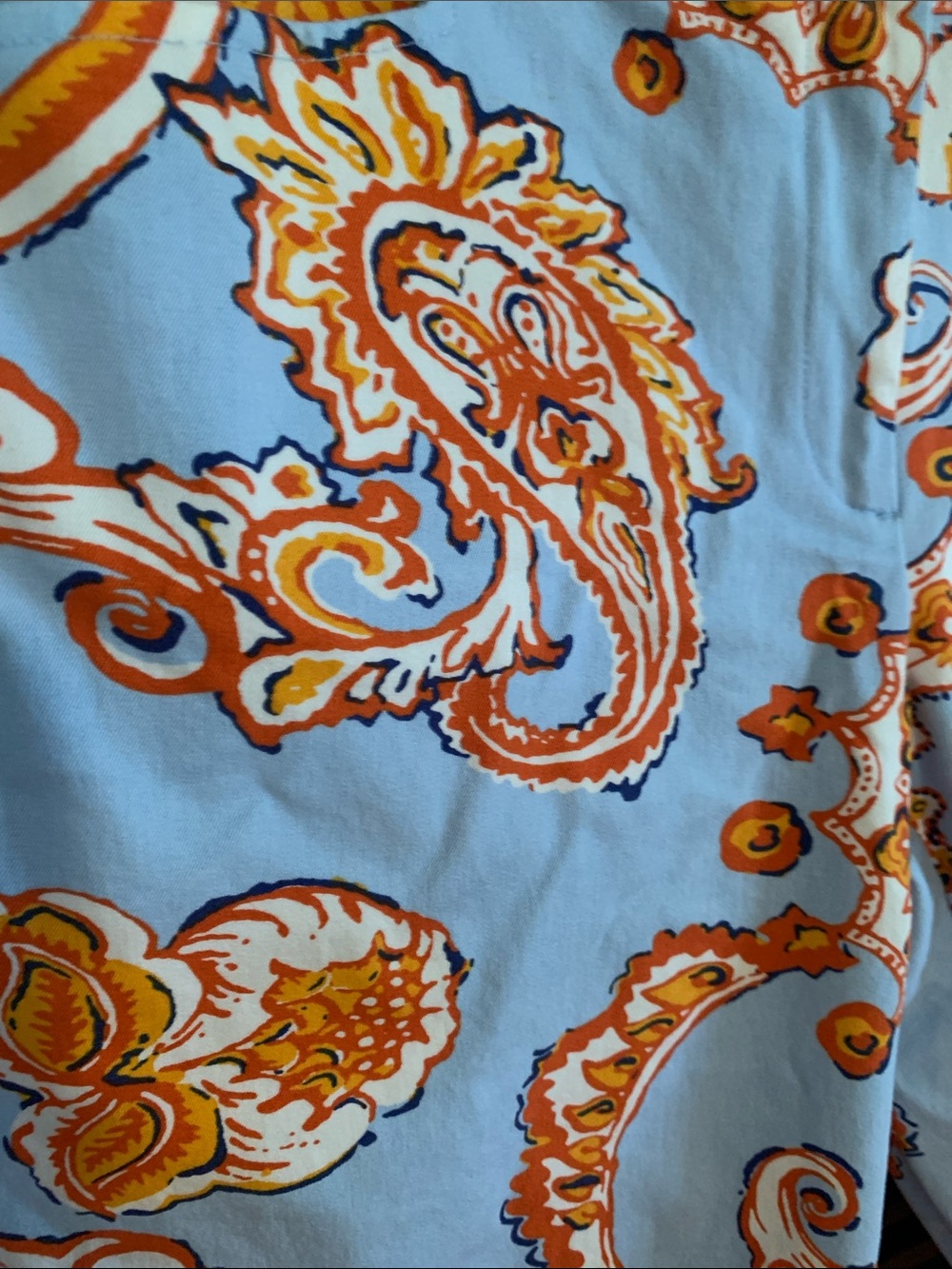 J. McLaughlin for Dillard’s Light Blue Paisley Shorts - Picture 2 of 7